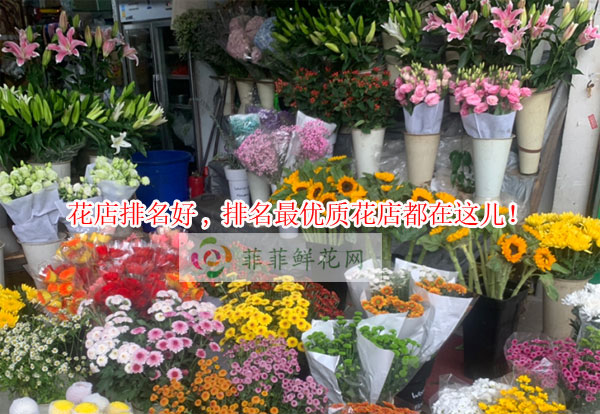 鄂尔多斯花店排名,鄂尔多斯最优质花店都在这儿!